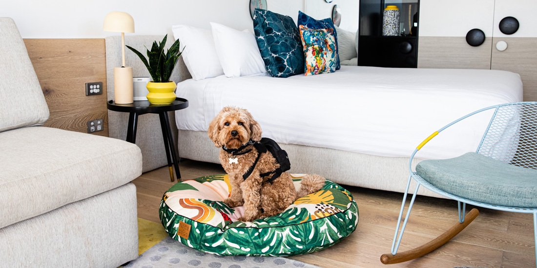 Pawdicures and doggy dinners – treat your fur baby to a luxe sleepover at QT Hotels & Resorts