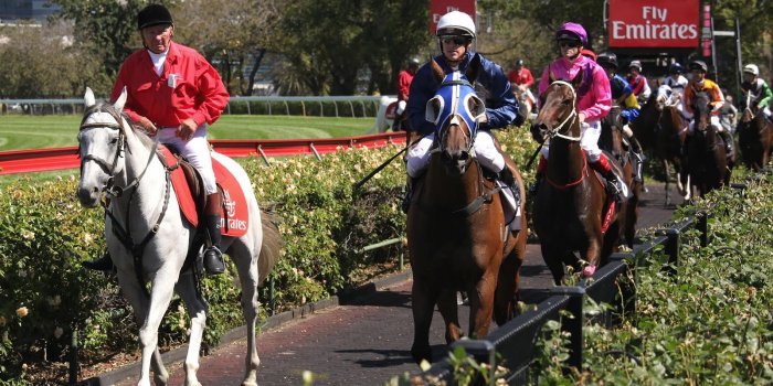 Birdsville in Brisvegas – Melbourne Cup at Birdees