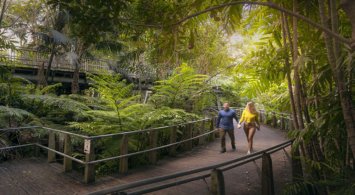 Roma Street Parkland – The Rainforest and Fern Gully