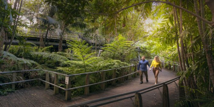 Roma Street Parkland – The Rainforest and Fern Gully