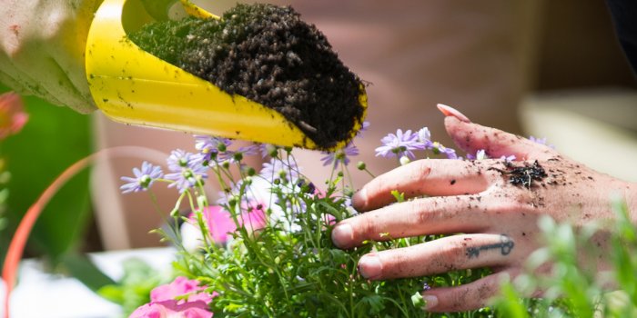 West Village Gardener Workshop