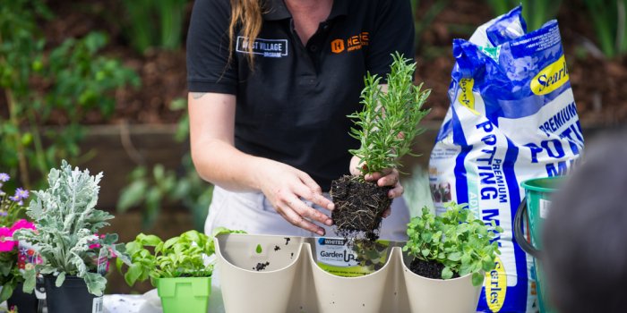 West Village Gardener Workshop