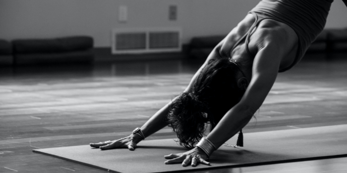 Vinyasa Foundations Workshop