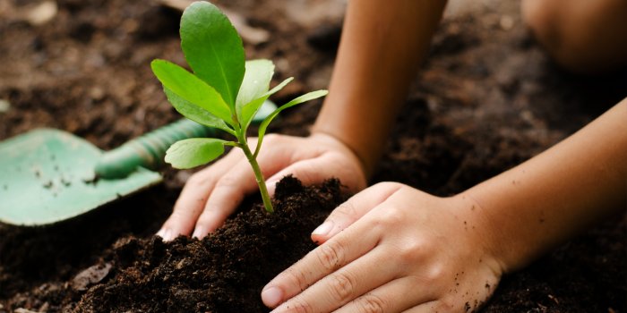 World Science Festival Brisbane: The science of companion planting