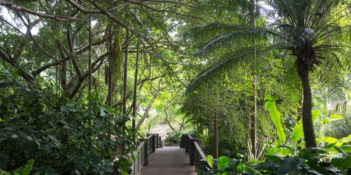 World Science Festival Brisbane: Indigenous plant science