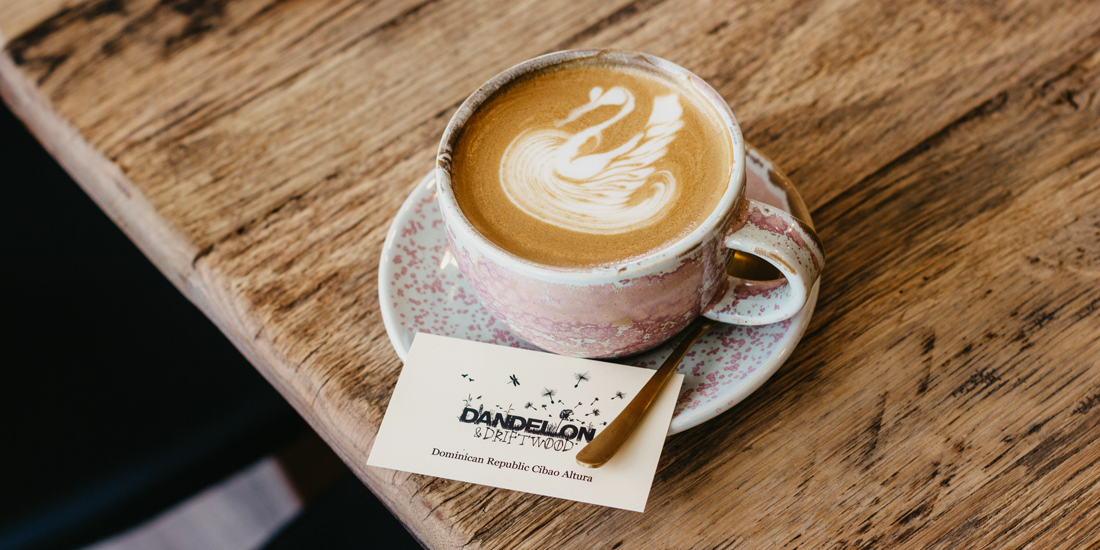 Dandelion & Driftwood on Doncaster