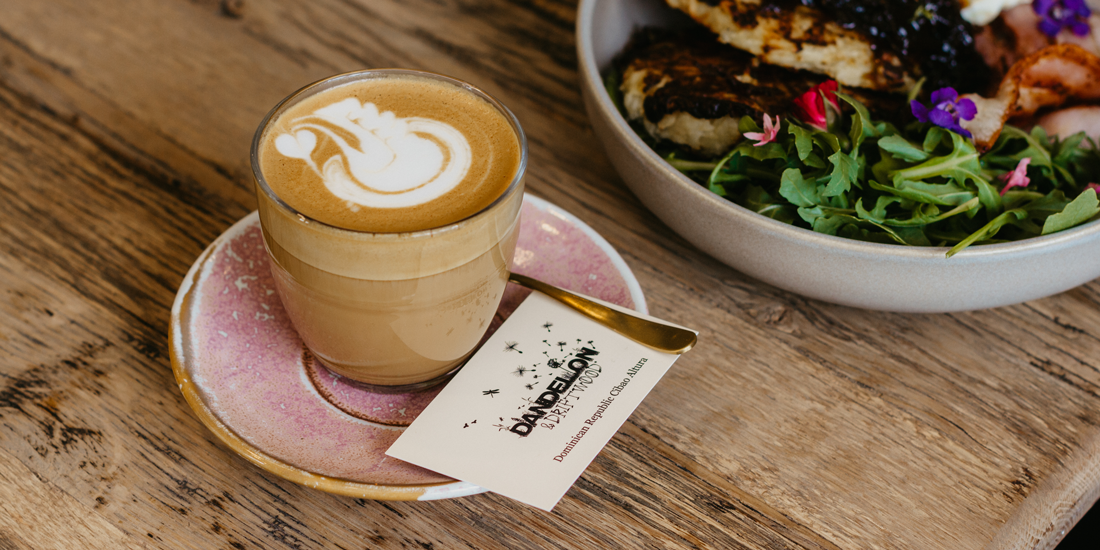 Savour kindness in a cup and personality on a plate at Hendra's Dandelion & Driftwood on Doncaster