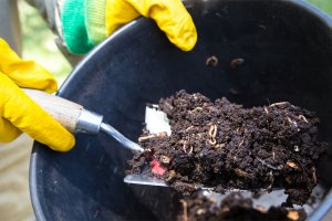 Composting ‘Turn and Learn' workshop