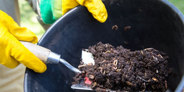 Composting ‘Turn and Learn' workshop