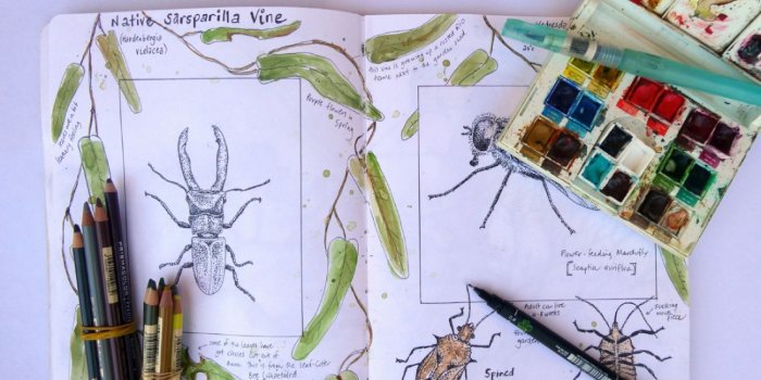 Nature journalling