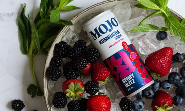Give gratitude to your gut with MOJO's tasty new kombucha sodas