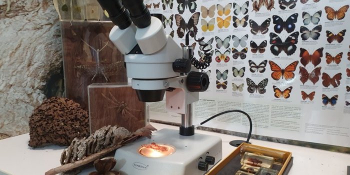 Mad Microscopes with Street Science