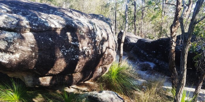 Rocks track exploration!