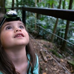 Peaks to Points Festival celebrates Brisbane's natural wonders