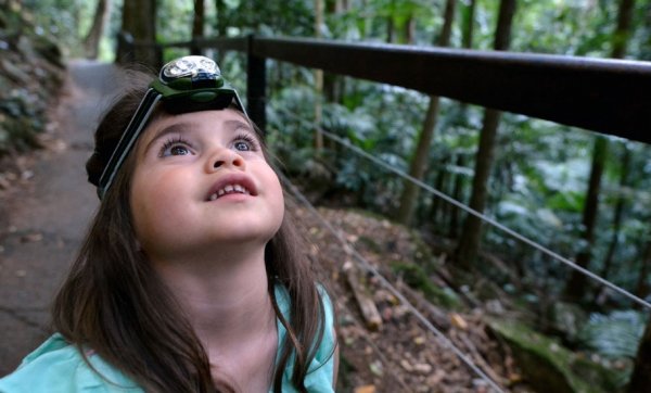 Peaks to Points Festival celebrates Brisbane's natural wonders