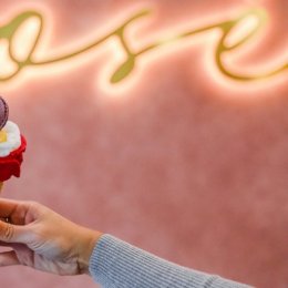 Get the scoop on Sanctuary Cove's new frozen dessert den Rosé Gelateria