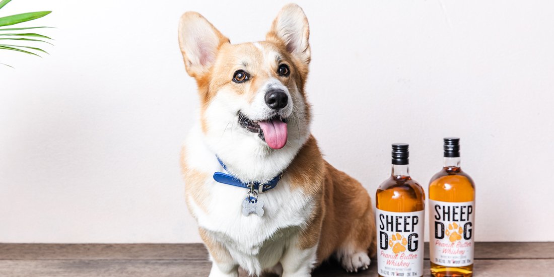 Lap up Sheep Dog’s newly launched peanut-butter whiskey