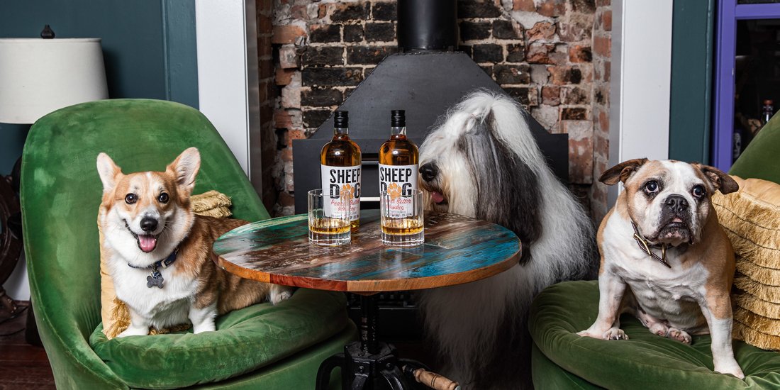 Lap up Sheep Dog’s newly launched peanut-butter whiskey