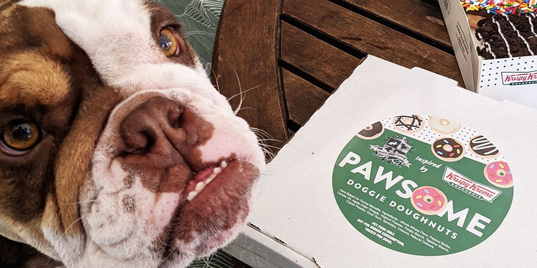 Get your paws on a box of Krispy Kreme's new Doggie Doughnuts