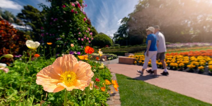 Roma Street Parkland Guided Tours