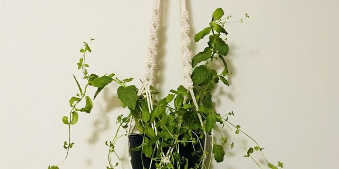 Maker space workshop for adults: Make a macrame plant holder