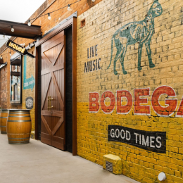 Seek out Bodega – Toowoomba's new secret grungy good time bar