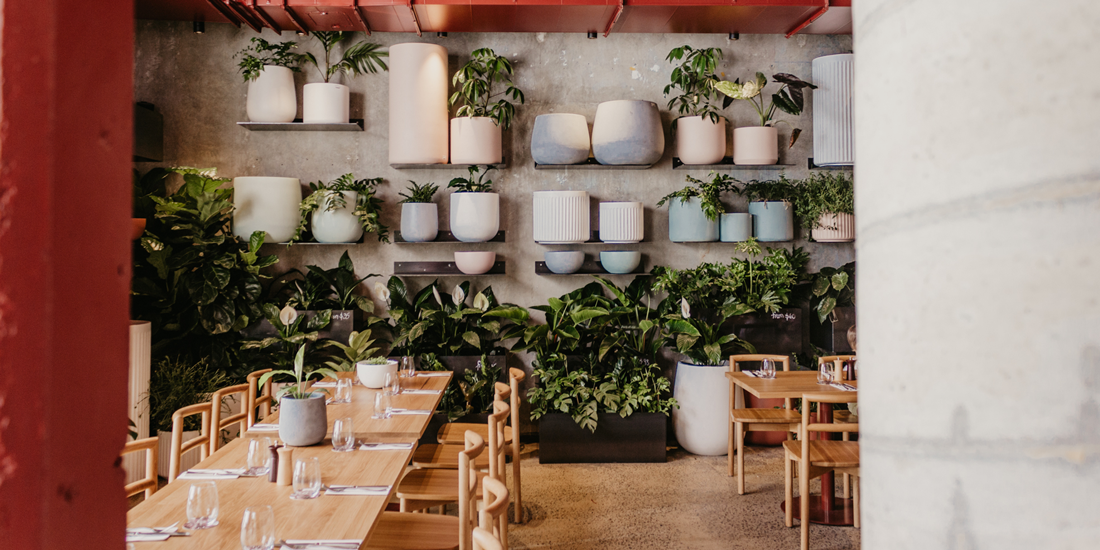 Lebanese cuisine and lush foliage abound at The Green – James Street's new leaf-laden cafe