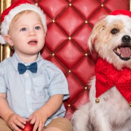 Christmas carols and pawfect Santa photos – it’s the most wonderful time of year at Sanctuary Cove