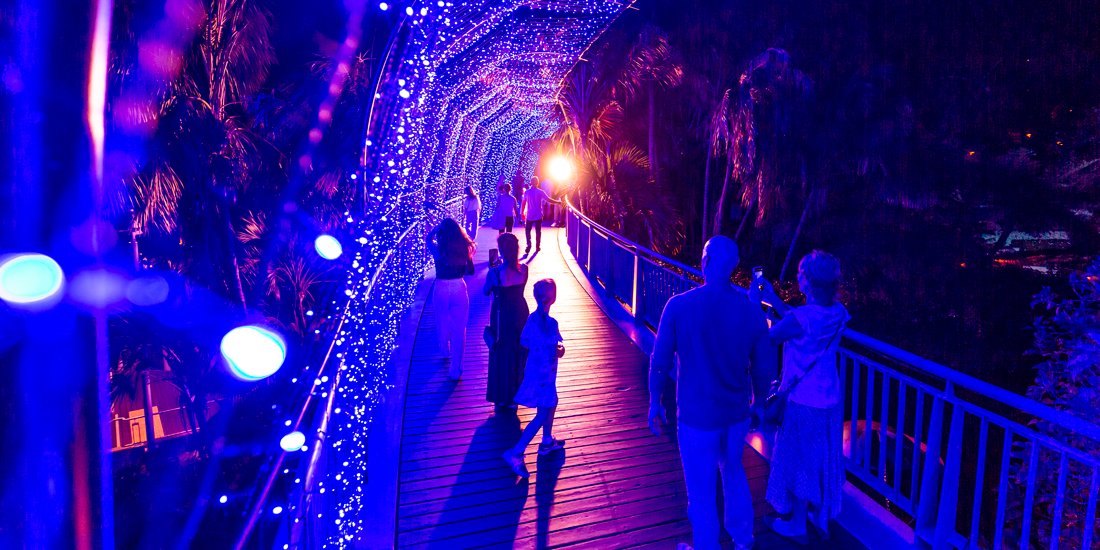 The Enchanted Garden is returning to light up Roma Street Parkland this December