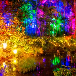 The Enchanted Garden is returning to light up Roma Street Parkland this December