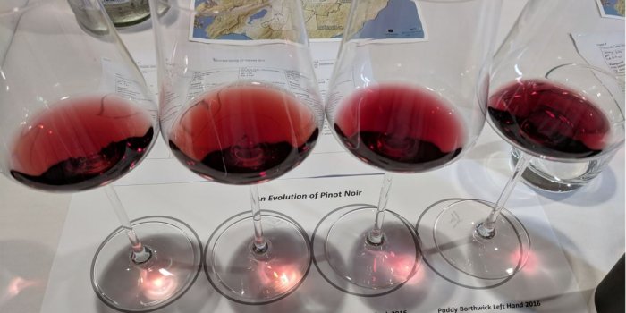 Queensland Wine Awards – Public Tastings and Master Classes