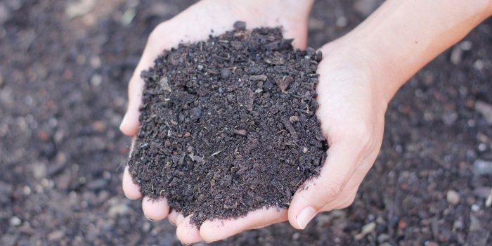 Intro to Home Composting & Worm Farming