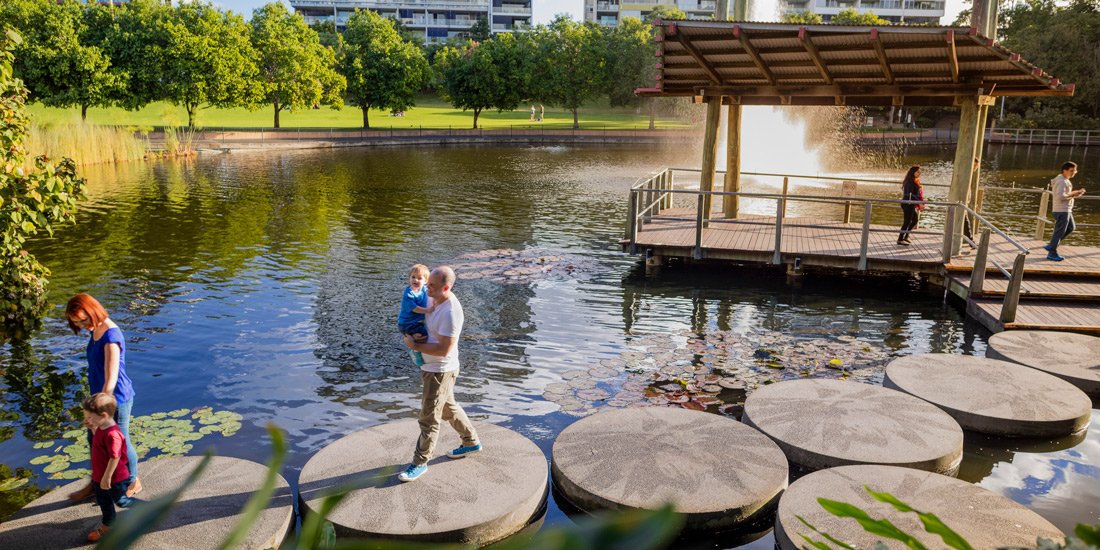 Fish that can walk on land and super-rare flowers – ten facts you didn’t know about South Bank Parklands and Roma Street Parkland