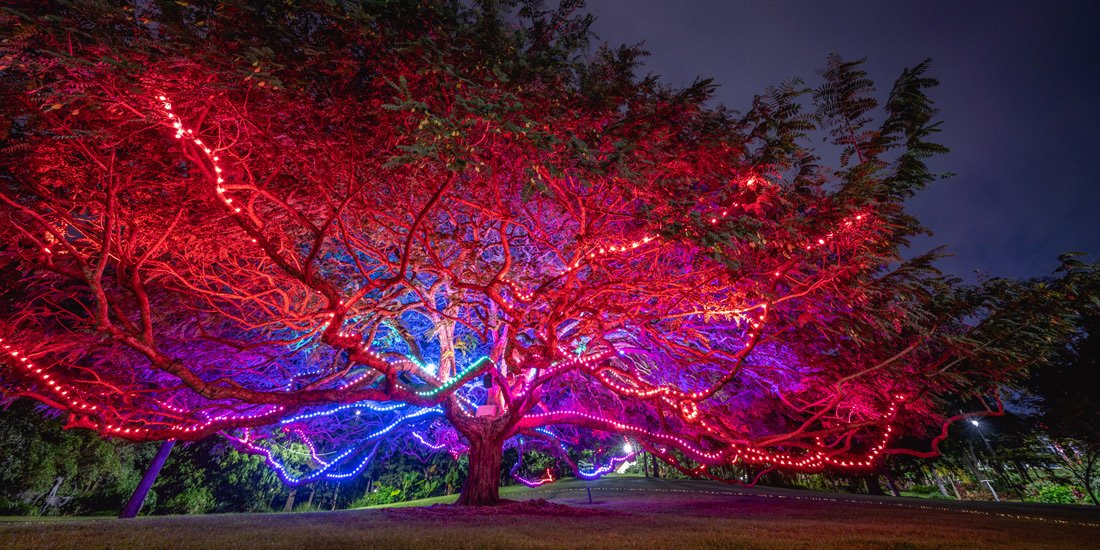 Glow-in-the-dark gardens, flavourful food-truck fare and DJs at dusk – all of the must-do events happening at Botanica: Contemporary Art Outside