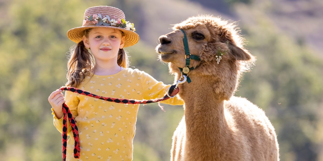 From backpacking alpacas to wilderness navigation festivals – here are our top five picks for Escape in the Scenic Rim