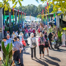 QLD Garden Expo