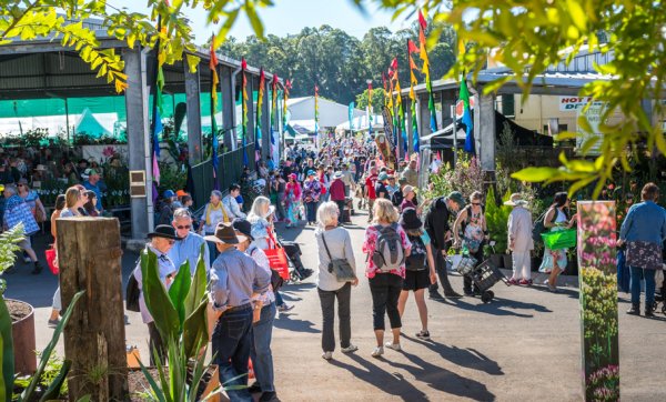 QLD Garden Expo