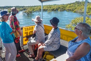 Coochiemudlo Island Mangrove Festival 2022