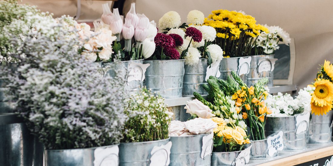 Pretty petals and a huge selection of succulents await at Portside Wharf's Plant and Flower Market