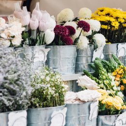 Pretty petals and a huge selection of succulents await at Portside Wharf's Plant and Flower Market