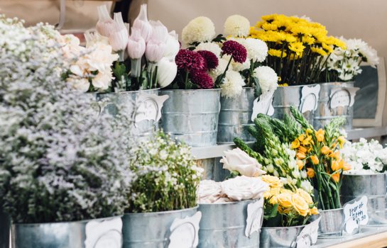 Pretty petals and a huge selection of succulents await at Portside Wharf's Plant and Flower Market