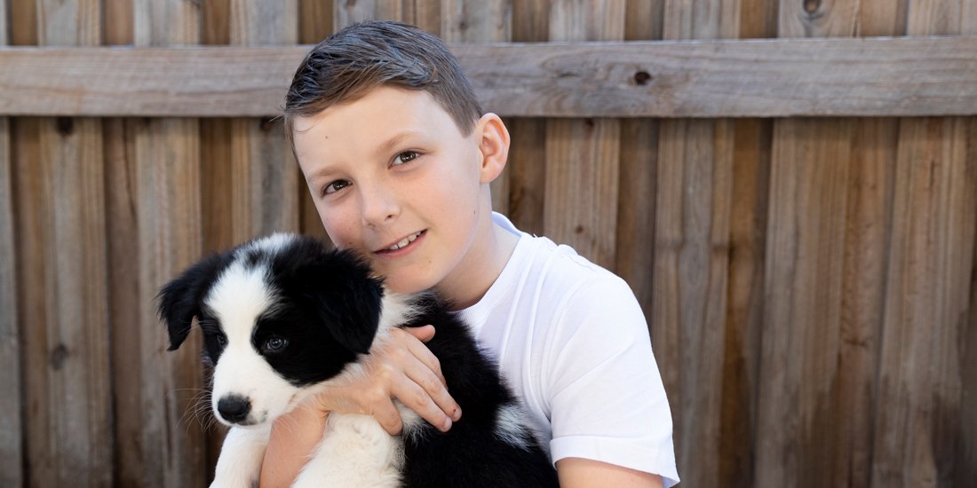 Cuddle with puppies at Samford Valley cafe Collies and Co.