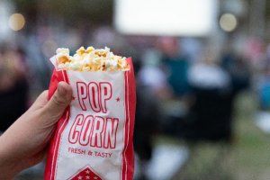 Movie in the Park – Eatons Hill