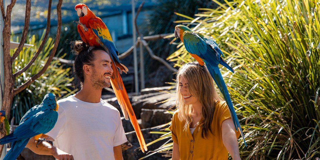 Maleny Botanic Gardens & Bird World