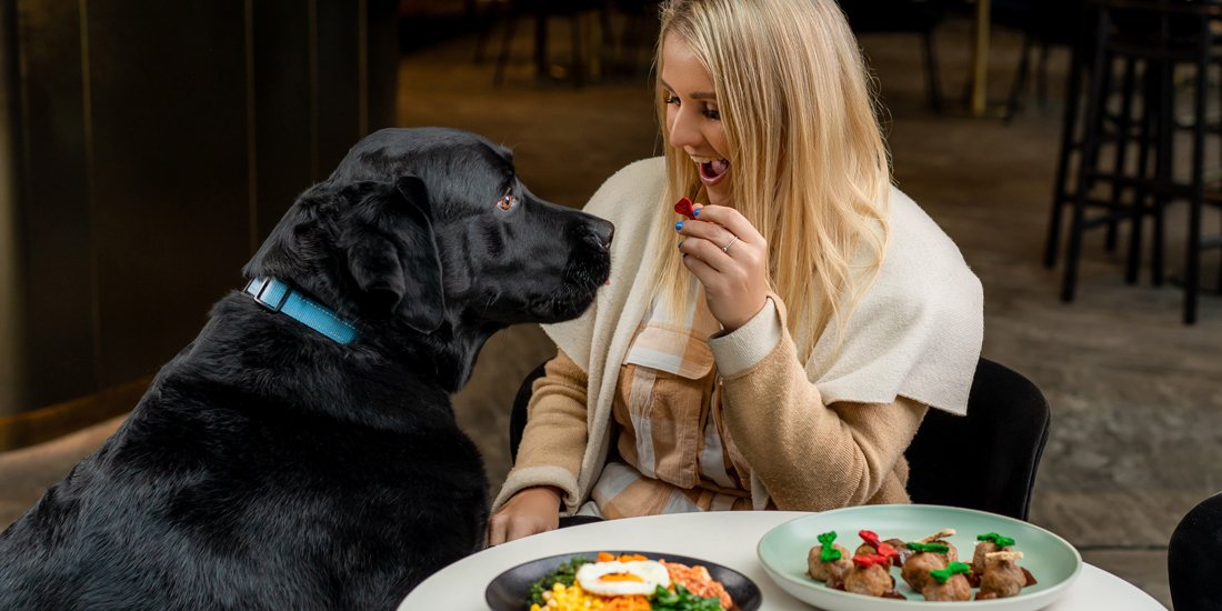 It's a ruff life – The Westin Brisbane has launched a fine-dining menu for dogs