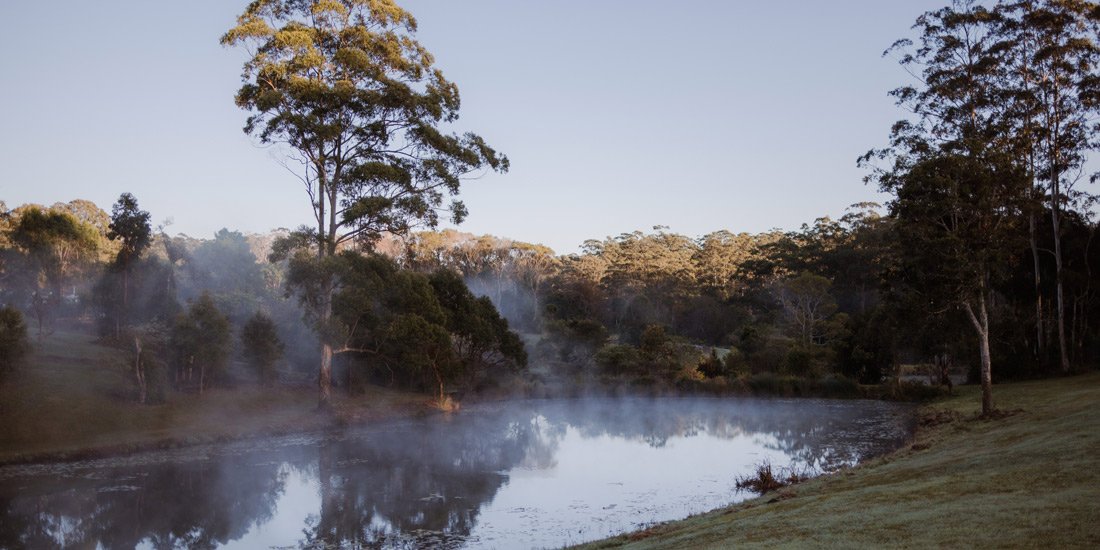 Mapleton Public House transforms a Sunshine Coast institution into a paddock-to-plate pop-up