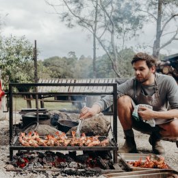 Caper Byron Bay