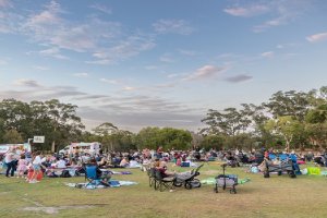 Movie in the Park North Lakes