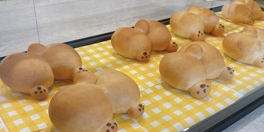 From corgi coffee to corgi buns – live out your doggy dreams at this corgi-themed cafe