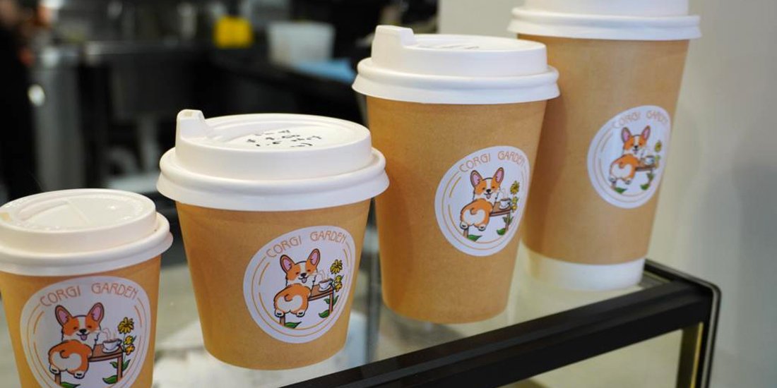 From corgi coffee to corgi buns – live out your doggy dreams at this corgi-themed cafe